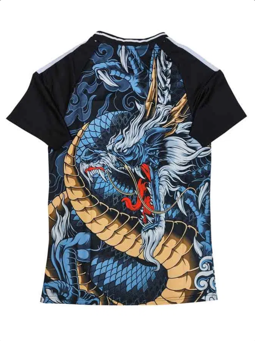 Japan 2024 Dragon Edition